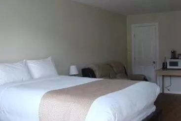 Motel Paddock Inn