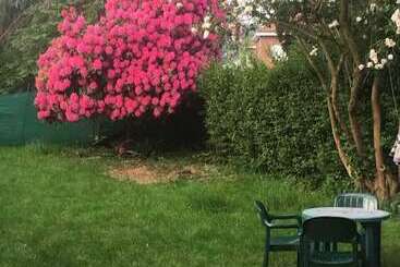 Bed and Breakfast Z House