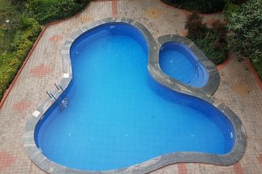 Hotel Dolphin Resort