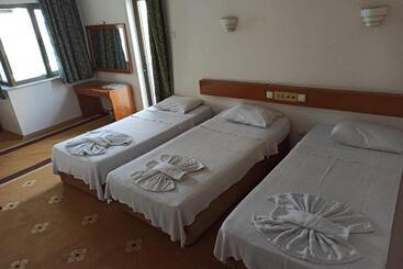 בית מלון כפרי Dias