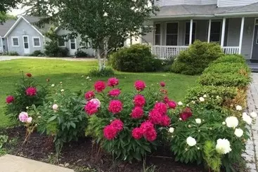 Majatalo The Pavilion At The Park