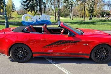 بنسيون Gyula Panzio