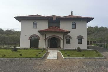 Pensiunea Casa Ungur