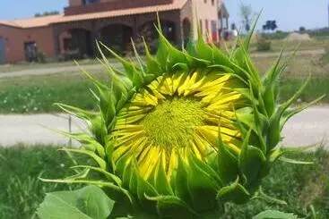 ホテル Agriturismo La Nocciolina