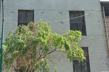 Пансион Casa Londres