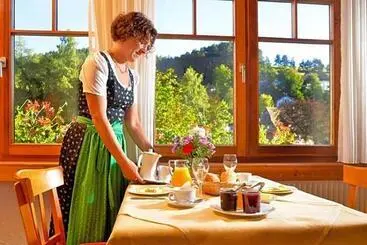 Hotelli Gasthof Adler