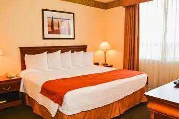 ホテル Country Inn & Suites By Radisson, London South, On