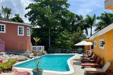 The Blue Orchid B&b