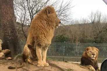 Otel Yadomaru Mine Non Smoking