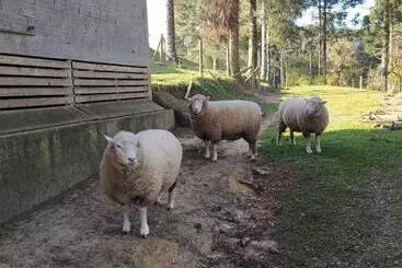 ホテル Recanto Paraíso Aventuras