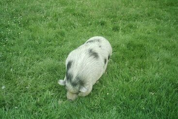 Bed and Breakfast Arret Et Aller