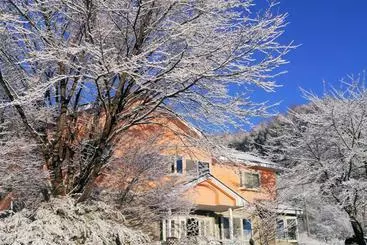Alberg Pension Green Field