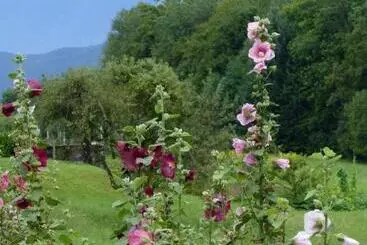 Pensjonat Au Coeur De La Campagne   Gite Non Loins D Annecy  à 17 Min D Annecy   Tout Prêt D Aix Les Bains