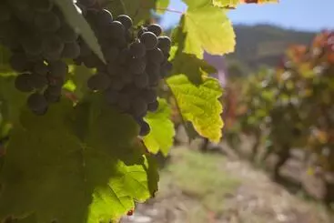 فندق ريفى Rural Da Quinta Do Silval