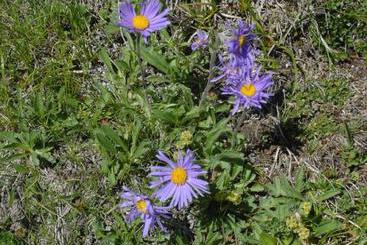 Nationalparkhotel Schihof