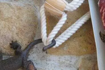 호텔 Posada Las Mayas