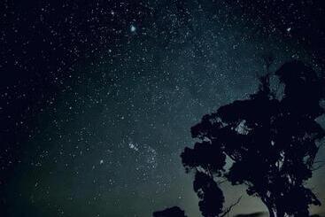 בית מלון כפרי Bush Retreat Farm Stay 2 Br Guest Suite