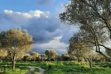 ペンション Tenuta Le Tre Querce