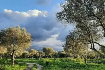 ペンション Tenuta Le Tre Querce