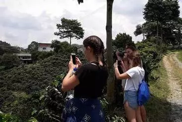 ホテル Hacienda Cafetera La Gaviota