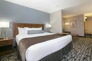 Hotel Best Western Plus Blaine At The National Sports Center