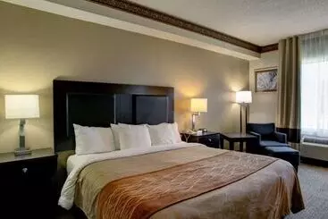 호텔 Comfort Inn & Suites