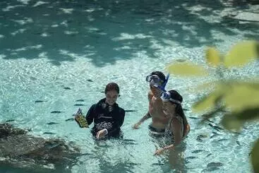 Отель Four Seasons Resort Bora Bora