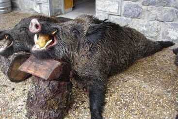 Сельский отель Rural El Sestil