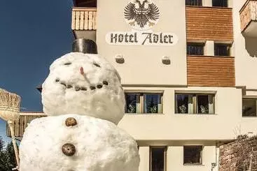 فندق Adler Carezza