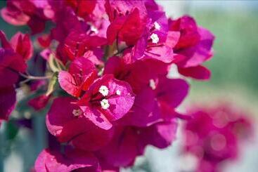 住所  Luzia Agriresort