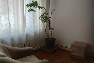 Pensjonat Gelena гостьовий двір