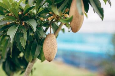 Szálloda Phoomtada Homestay