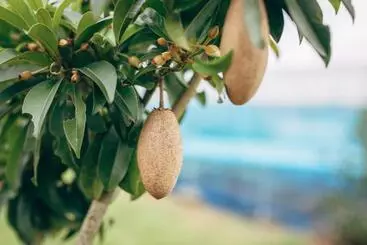 Hotelli Phoomtada Homestay