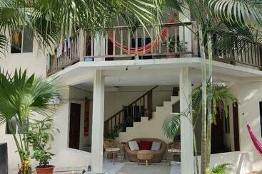 Herberge Layback Surf