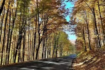 Majatalo E Tekergők Háza