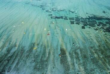 Hotel The Nest Boutique Resort