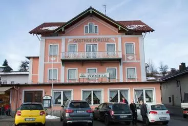 Hotel Gasthof Forelle