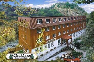 Waldhotel Am Ilsestein