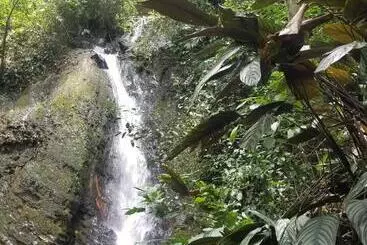 Hotel Waterfall El Paraíso   Cabañas, Jacuzzi, Piscina Y Cascada En Medio De La Naturaleza