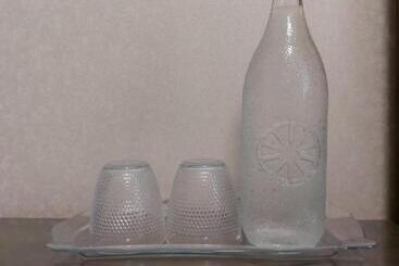 فندق Dvir Litynskyi