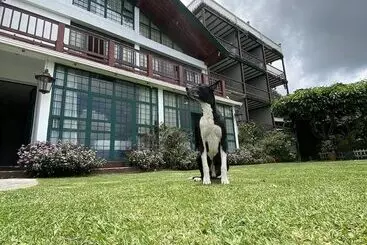 Verdant Hotel & Holistic Experience