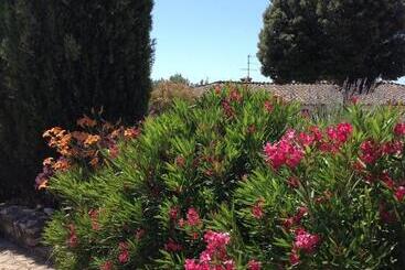 شقة فندقية Podere La Castellina