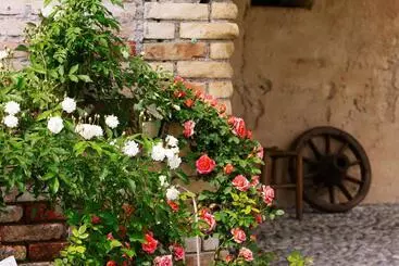 Aamiaismajoitus (B&B) Villa Maraldo 1927