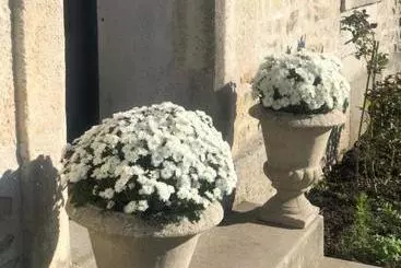 Pensionat La Belle Epoque   Chambres D Hôtes & Spa