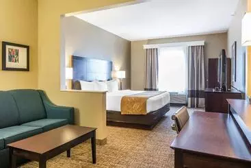 Hotel Comfort Suites North