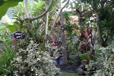 住宿加早餐 Surya Homestay