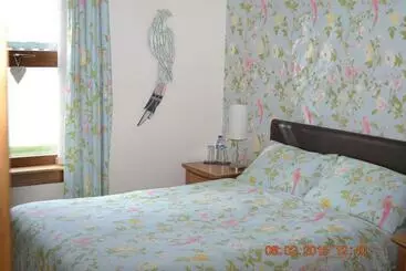 Cairnryan Bed And Breakfast