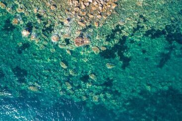 فندق ريفى Agriturismo Club Le Cannelle