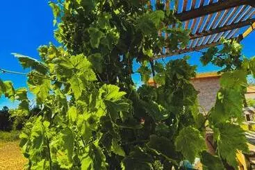 Hotelli Cabaña San Tony