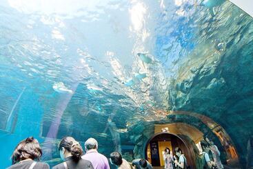 ריוקאן Bonsai Shimonoseki